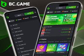 Understanding the Terms and Conditions of BC.Game Understanding the Terms and Conditions of BC.Game