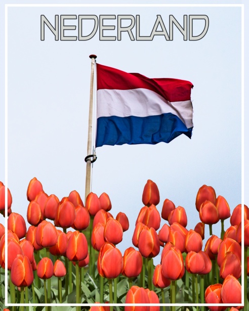 Nederlandstalige Hiphop Artiesten Een Reis door de Scene Nederlandstalige Hiphop Artiesten Een Reis door de Scene